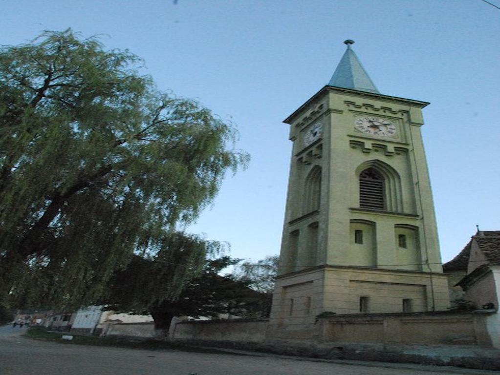 Pensiunea Liana Nemsa Exterior photo