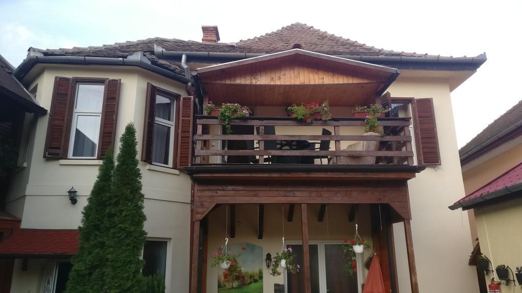 Pensiunea Liana Nemsa Exterior photo