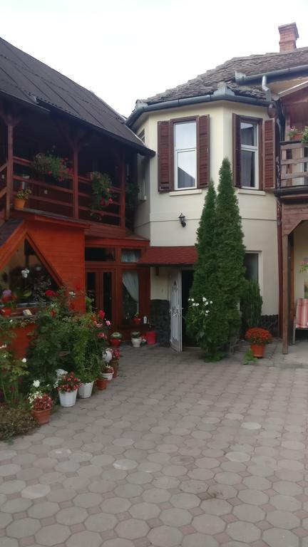 Pensiunea Liana Nemsa Exterior photo