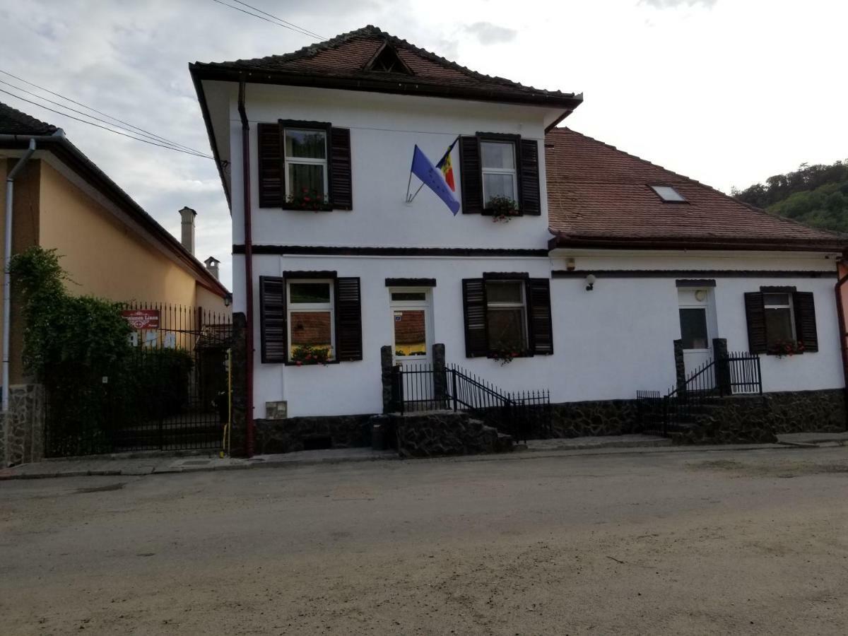 Pensiunea Liana Nemsa Exterior photo