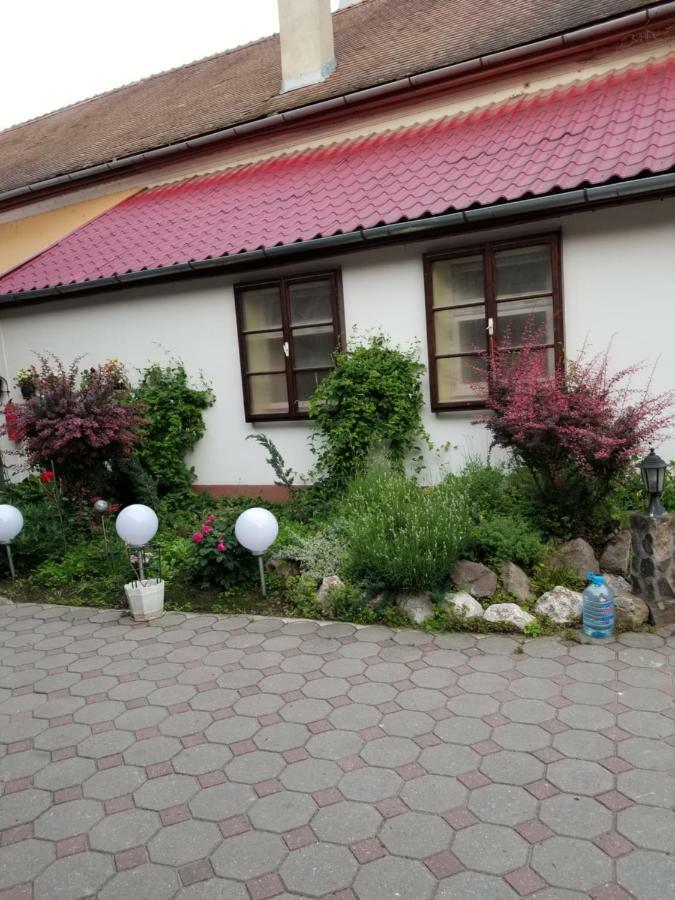 Pensiunea Liana Nemsa Exterior photo
