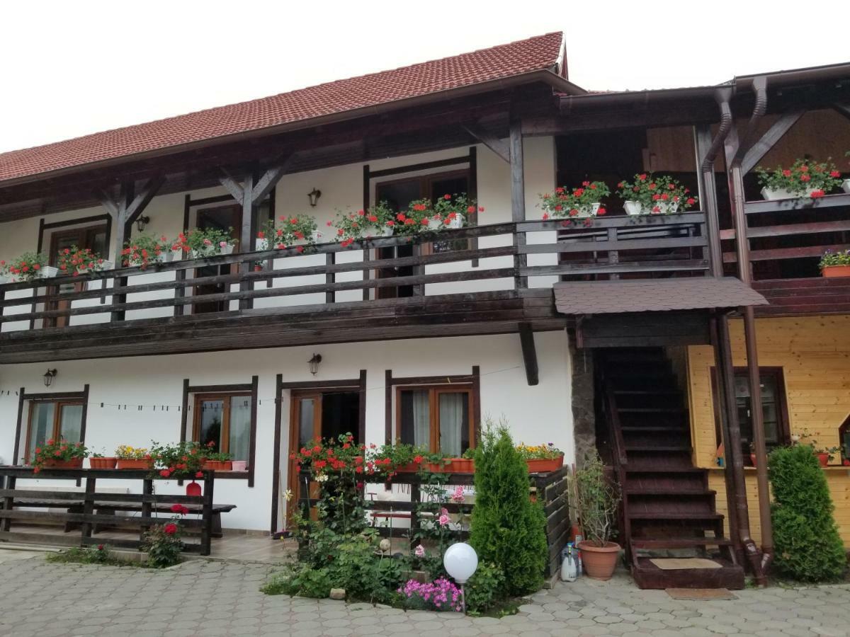 Pensiunea Liana Nemsa Exterior photo